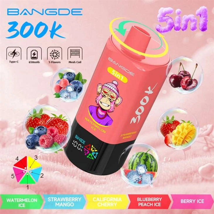 バンデ 300000