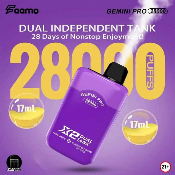 Feemo Gemini Pro 28000パフデュアル味
