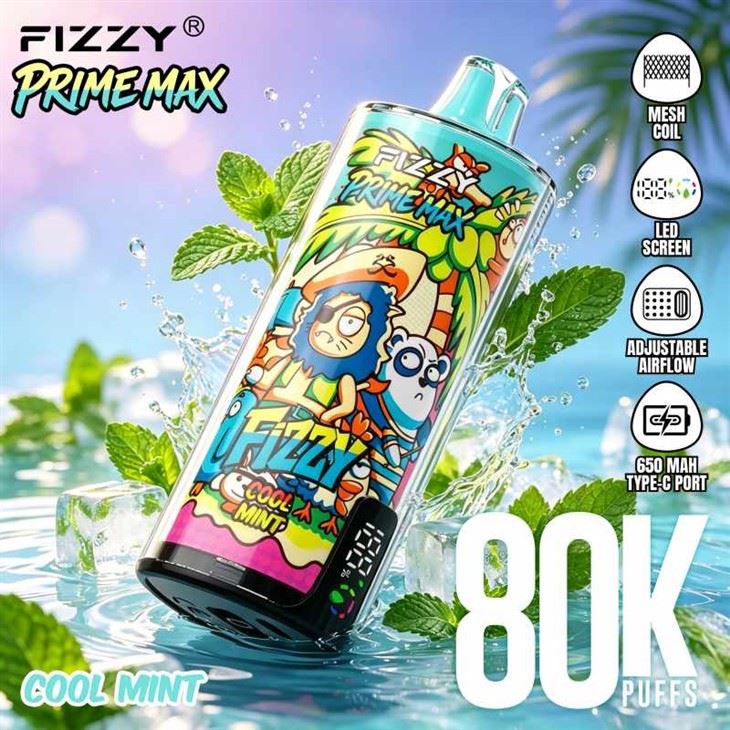 フィジープライムマックス80000