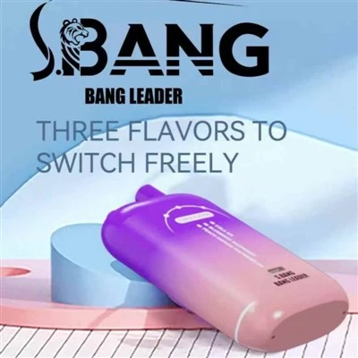 Bang Leader 80000 Puffs 3つのフレーバー