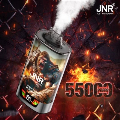 JNR レイジグリラ 55K PUFFS