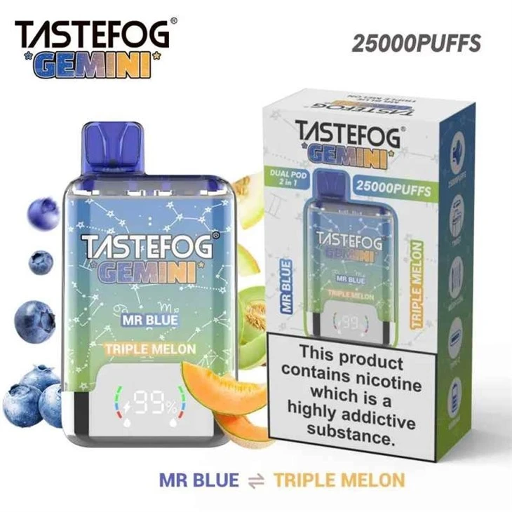 Tastefog-Gemini-25000-Puffs-Dual-Flavors-E-Cigarette-Pen-20mg-Disposable-Vapes-Wholesale-I-Vape TASTEFOG GEMINI 25000 1
