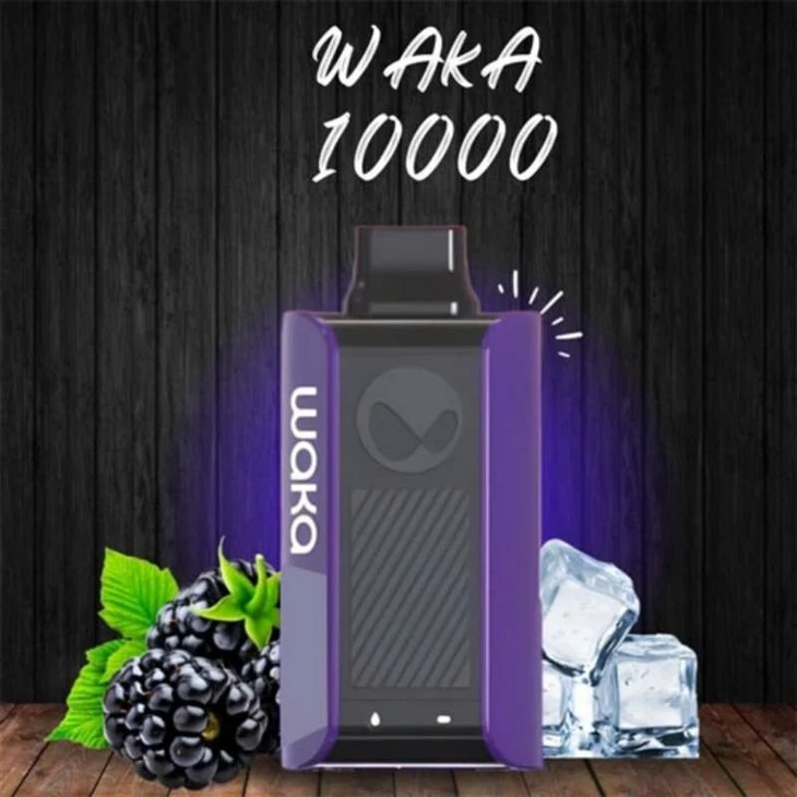 ワカPA10000