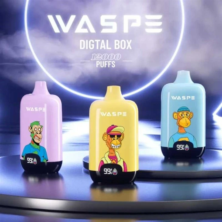 WASPE デジタルボックス 12000